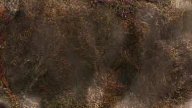 yaratıcı arka plan dijital sanat