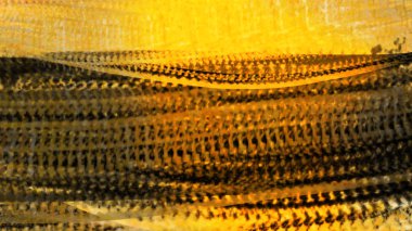 fantastik kavramı, dijital sanat renkli soyut arka plan