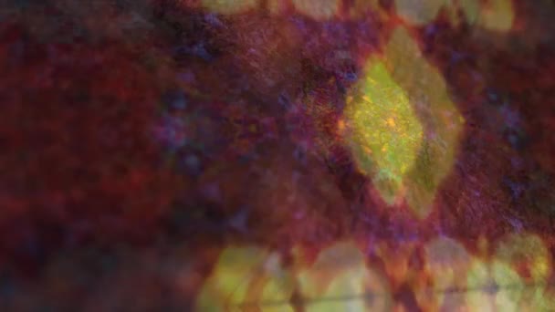 Abstrakte Geometrische Atmosphärische Textur Schöne Dekorative Muster Spiegel Fraktale Nahtlose — Stockvideo
