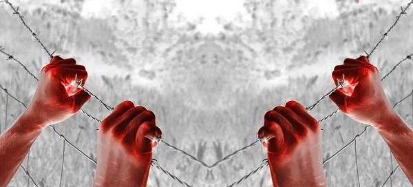 Artistic Blood Tortured Hand Grasping Desperately Barbed Wire — Stock Photo, Image