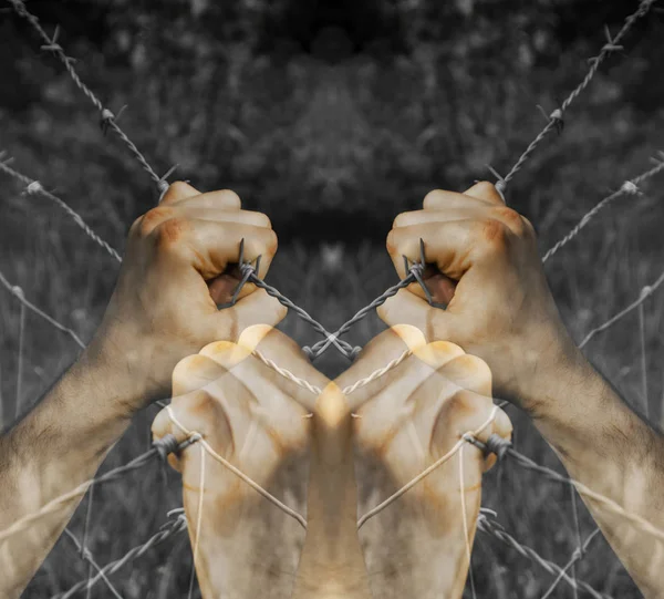 Lots Coloured Tortured Hands Grasping Desperately Barbed Wire Black White — Stock Photo, Image
