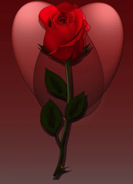 Illustration Red Rose Spot Lights Create Heart Shape — Stock Photo, Image