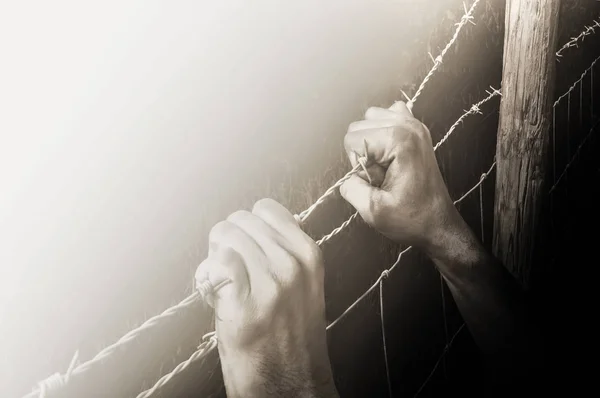Eller ışık almak için umutsuzca dikenli tel açgözlü 