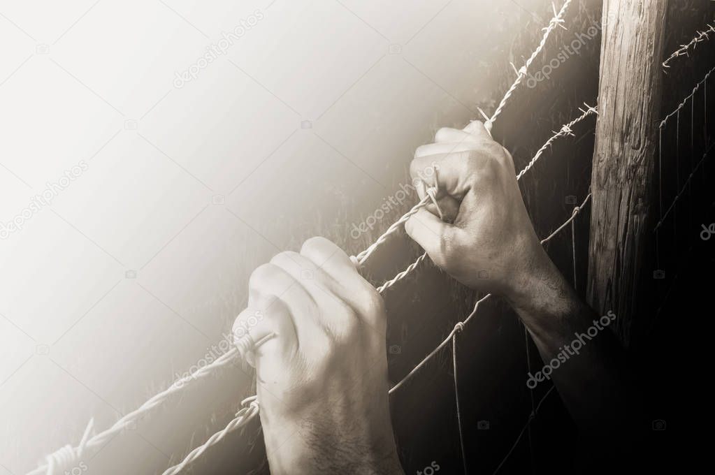 Hands grasping desperately barbed wire to get to the light 