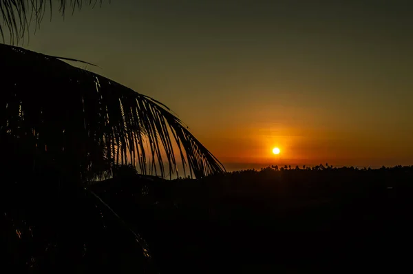 Trópusi Táj Pálmafa Lángoló Napkelte — Stock Fotó