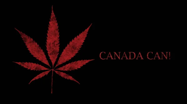 Canada Can Smoke Cannabis — Stock Photo, Image