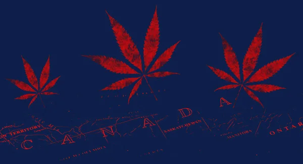 加拿大的大麻 合法化 — 图库照片