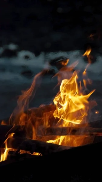 Llamas ardiendo madera en la noche en azul — Foto de Stock