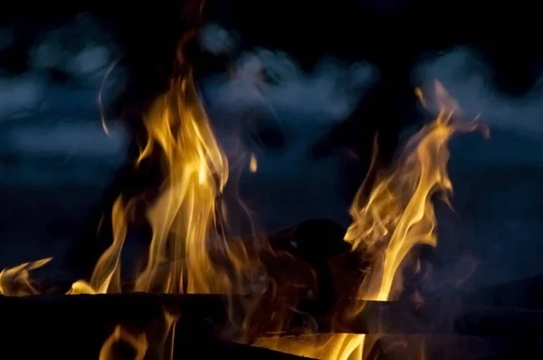 Lángok, égő fa, kék az éjszaka — Stock Fotó