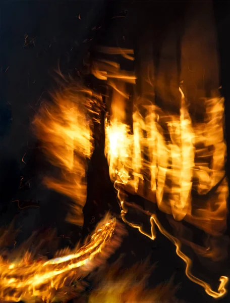 Концептуальный образ лесного пожара, пожирающего лес — стоковое фото