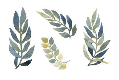 Set of leafed branchlets with golden shade hand drawn in watercolor isolated on a white background clipart