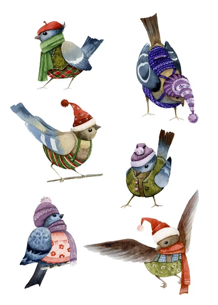Set Funny Cartoon Dressed Birds Hand Drawn Watercolor Isolated White — Stock Photo, Image