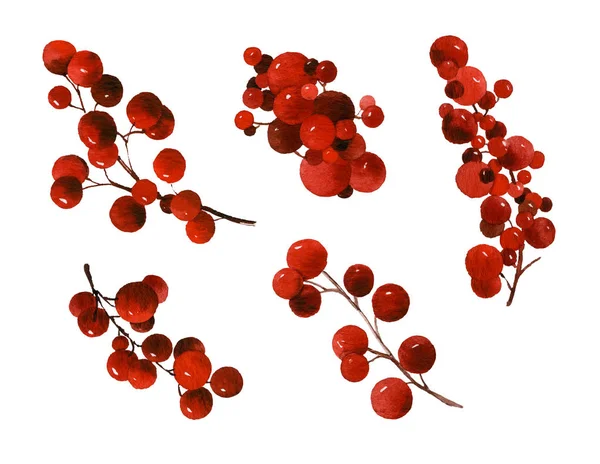 一套红色浆果在分支手画在水彩画查出在白色背景 花卉风格的图案 花圈和框架的设计元素 — 图库照片