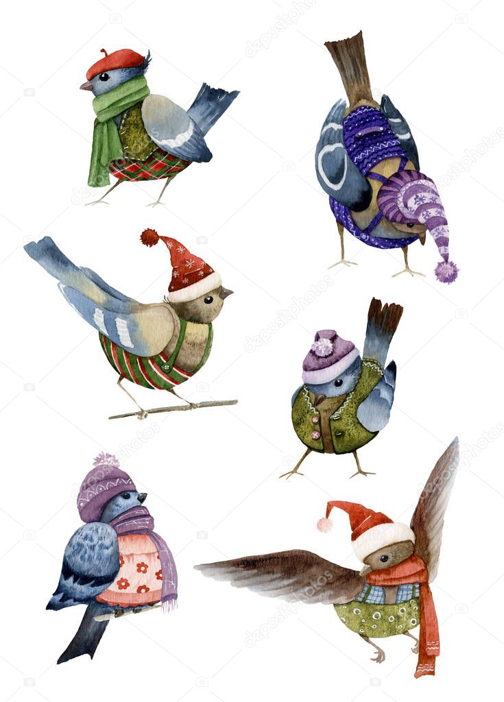 Set of funny cartoon dressed birds hand drawn in watercolor isolated on a white background