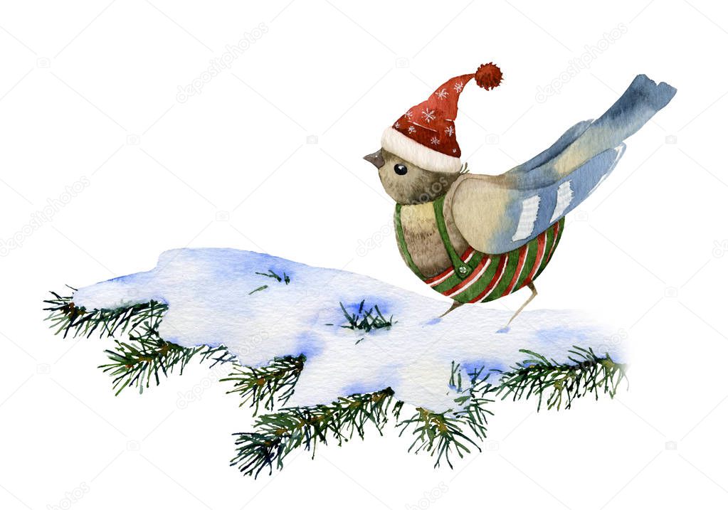 Cute dressed cartoon bird sitting on a snow-covered spruce branch hand drawn in watercolor isolated on a white background