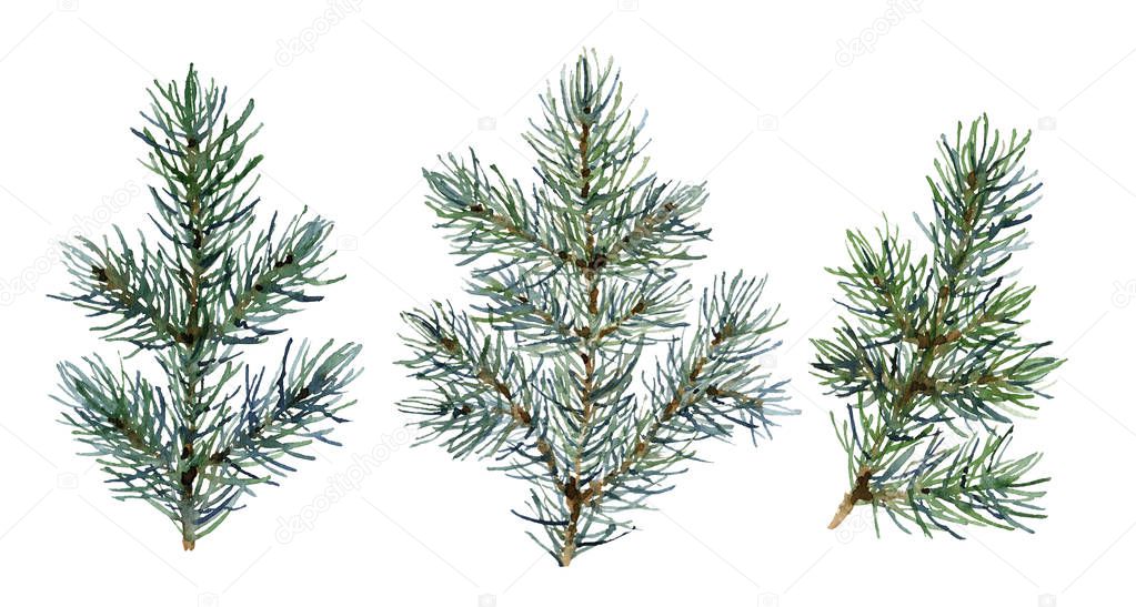 Set of green spruce branches hand drawn in watercolor isolated on a white background. Design elements for patterns, Christmas wreathes, garlands and frames in floral style.