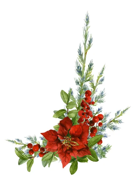 Julen Arrangemang Som Består Julstjärna Och Gran Grenar Handritad Akvarell — Stockfoto
