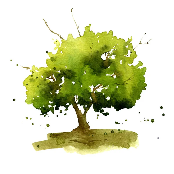 Imagem Uma Mão Árvore Verde Brilhante Pintada Aquarela Sobre Fundo — Fotografia de Stock