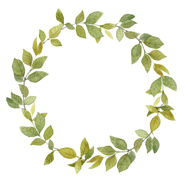 Yeşil yaprakları ve beyaz arka plan üzerinde izole yapraklı dal suluboya çelenk 