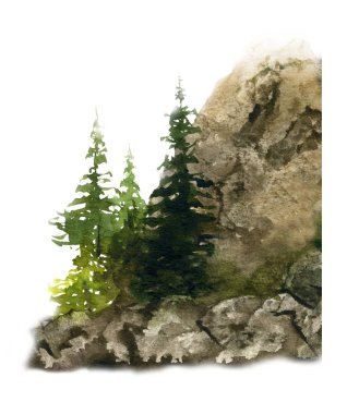 Beyaz arka plan üzerinde izole suluboya resim bir dağ Ladin el atış uzak mesafe ile boyalı