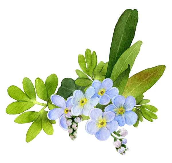 Wunderschönes Blumenarrangement Mit Vergissmeinnicht Blumen Handgezeichnet Aquarell Isoliert Auf Weißem — Stockfoto