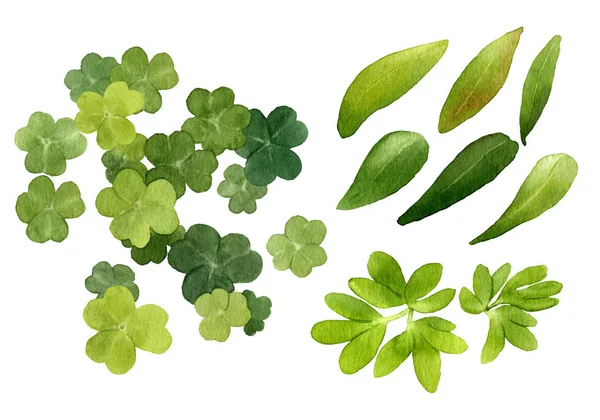 Uppsättning Shamrock Och Grön Lämnar Handmålade Akvarell Isolerad Vit Bakgrund — Stockfoto