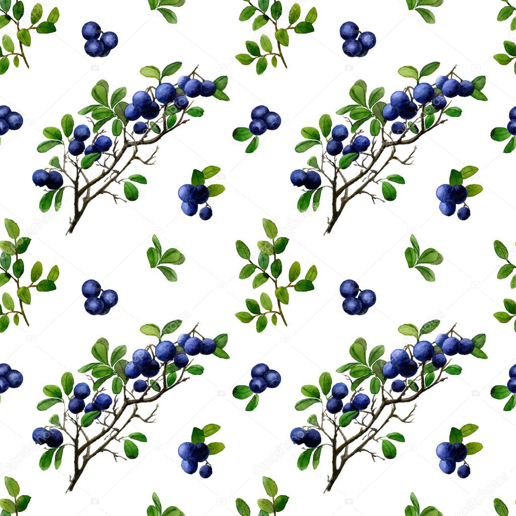 Seamless watercolor pattern with blueberry branchlets, blueberry and leaves isolated on white background 