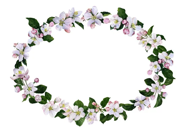 Ram Apple Blommor Och Knoppar Med Grön Lämnar Handmålade Akvarell — Stockfoto