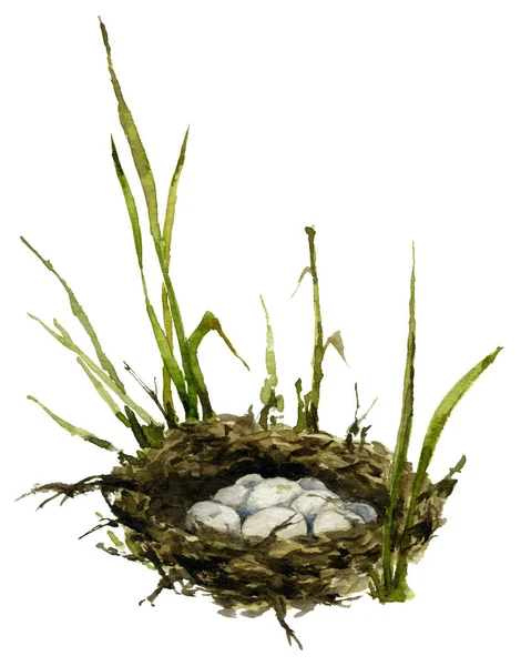 Foto Van Een Nest Van Eend Het Gras Hand Geschilderd — Stockfoto
