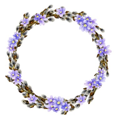 İhale bahar willow çelenk çuha çiçeği açık mavi ile beyaz bir arka plan üzerinde izole suluboya çizilmiş el çiçekleri