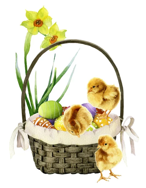 Decorative Basket Colorful Decorated Eggs Three Chickens Daffodils Yellow Narcissi — Stock Photo, Image