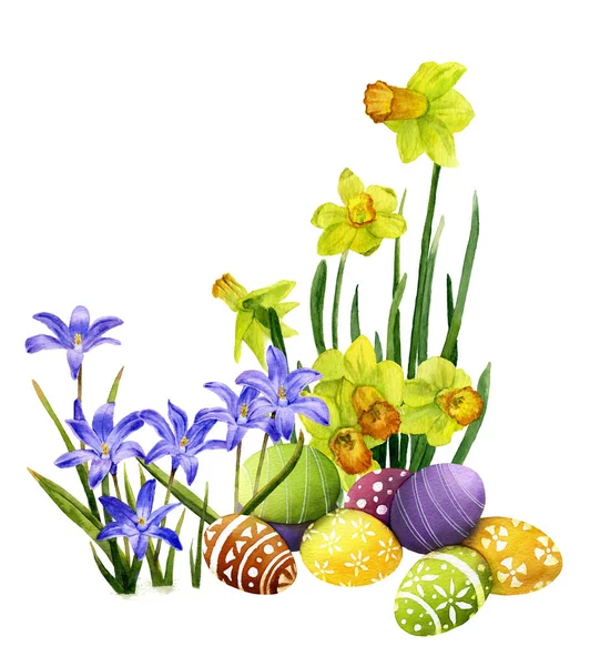 Renkli bir şekilde dekore edilmiş Paskalya yumurta, bluebells ve sarı narcissi el Beyaz bir arka plan üzerinde izole suluboya çekilmiş harika Paskalya aranjmanı.