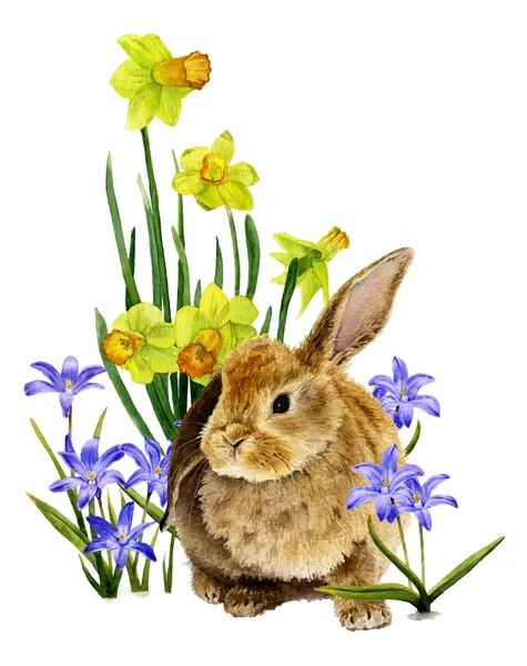Lindo Conejo Peludo Entre Las Flores Campanas Azules Narcisos Amarillos — Foto de Stock