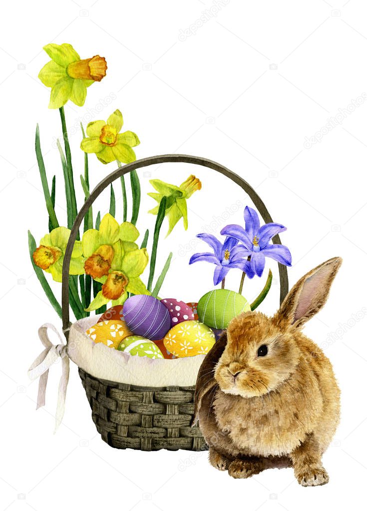 Cute rabbit near a wicker basket with colorful decorated eggs and blubells and yellow narcissi in the background hand drawn in watercolor isolated on a white background
