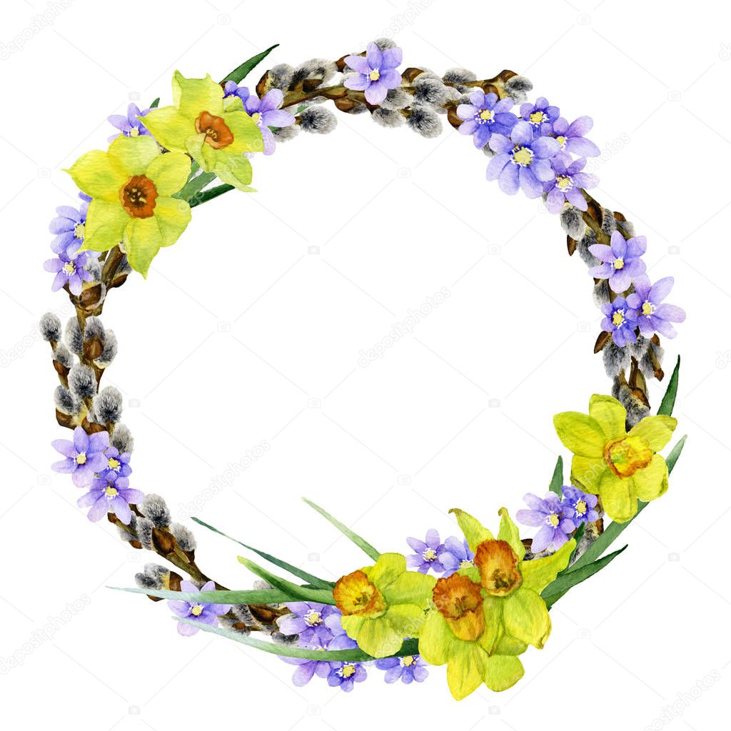 Tender spring willow wreath with light blue flowers and yellow narcissi hand drawn in watercolor isolated on a white background