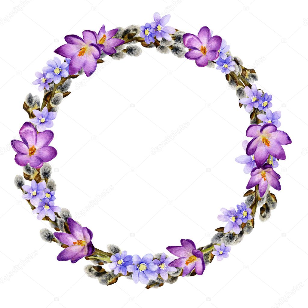 Tender spring willow wreath with primrose light blue flowers and crocuses hand drawn in watercolor isolated on a white background.
