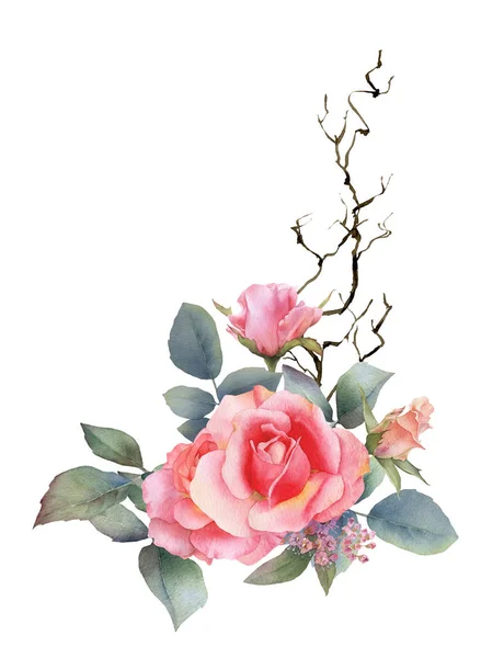 Arrangement Aquarelle Dessiné Main Avec Des Roses Roses Pittoresques Des — Photo