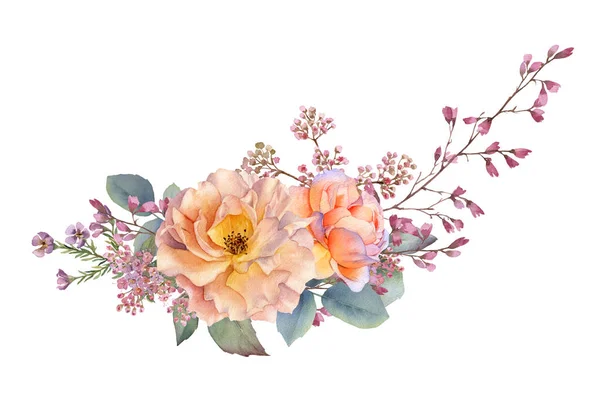 Kézzel Rajzolt Akvarell Elrendezése Festői Tea Rózsa Bimbók Levelek Virágok — Stock Fotó