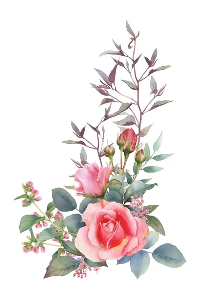 Kézzel Rajzolt Akvarell Elrendezése Festői Rózsaszín Rózsa Rózsabors Levelek Göndör — Stock Fotó
