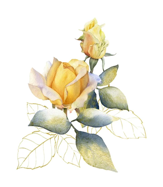 Kézzel Rajzolt Akvarell Elrendezése Festői Tea Rózsa Virágok Rózsaszbimbók Levelek — Stock Fotó