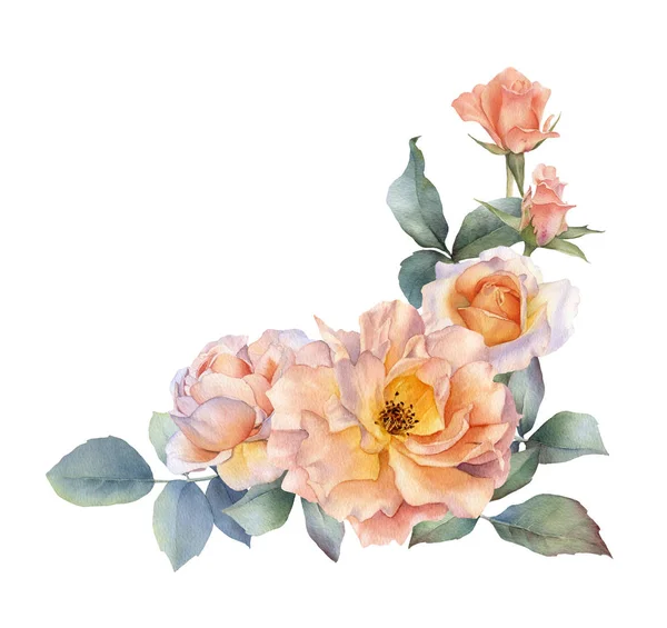 Arrangement Aquarelle Dessiné Main Avec Des Fleurs Roses Thé Pittoresques — Photo