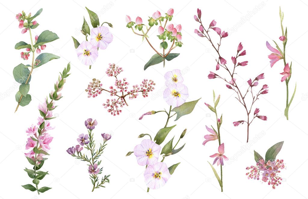 Hand drawn watercolor set with pink bloomy branches, herbs and leaves isolated on a white background. Ideal for creating invitations, greeting cards. Floral illustration. Watercolor botanic collection
