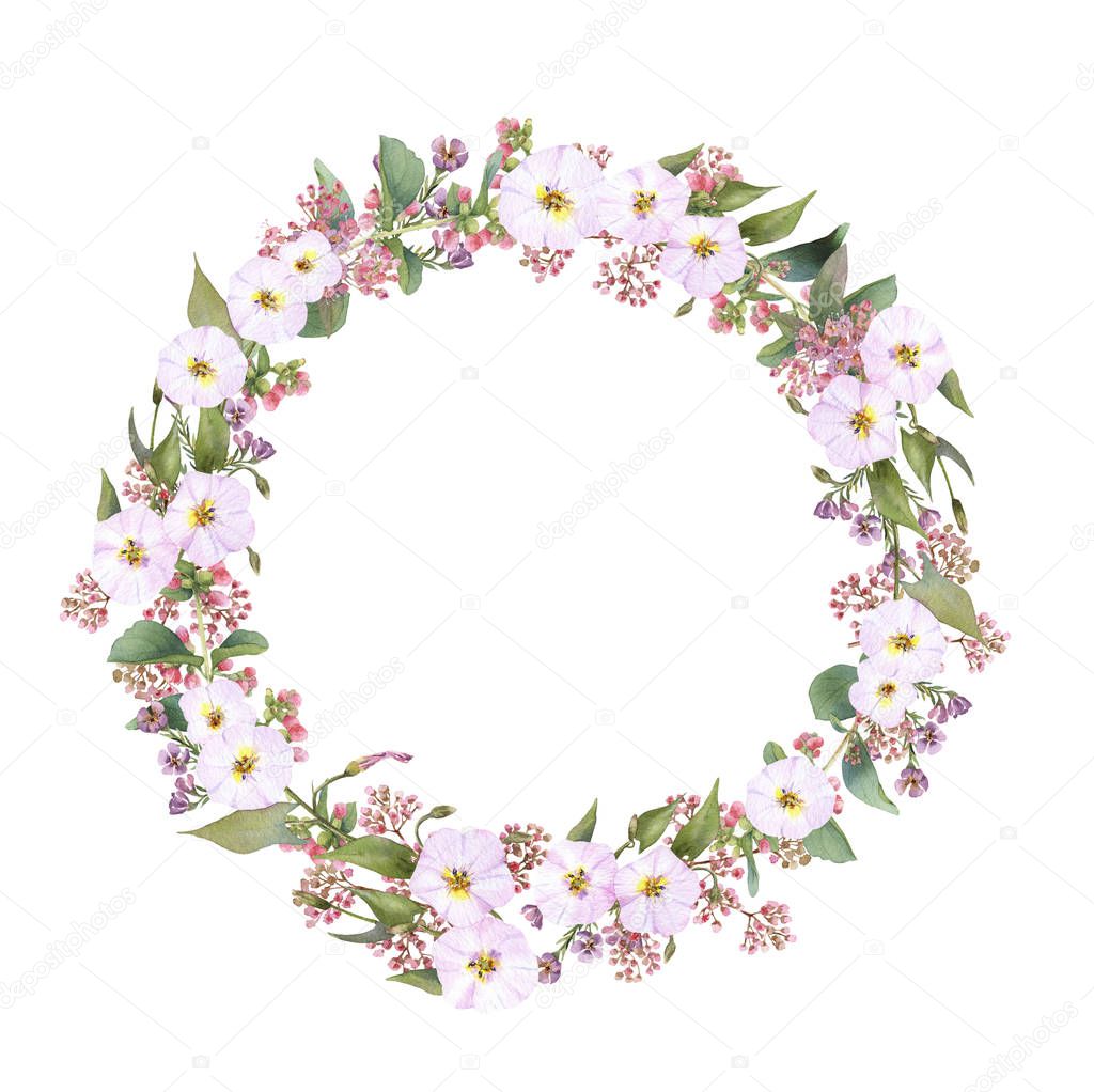 Hand drawn watercolor wreath with picturesque herbs, leaves and bloom bindweed isolated on a white background. Ideal for creating invitations, greeting cards. Floral illustration.Botanic composition