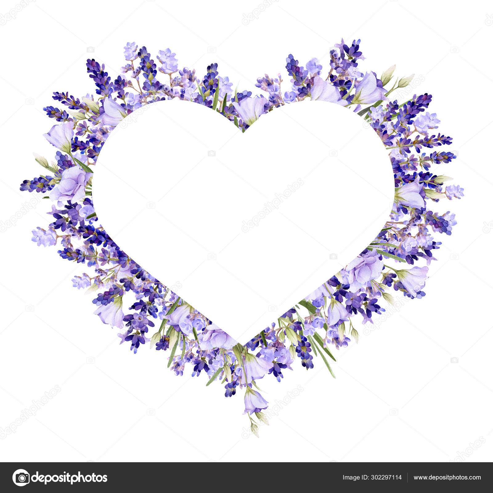 pics Lavender Heart Background picturesque heart shaped frame lavender bluebells herbs hand drawn watercolor stock photo image by c tanafortuna 302297114