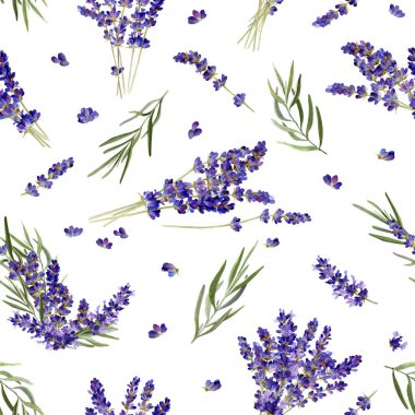 Lavanta çiçekleri ve beyaz bir arka plan üzerinde izole suluboya çizilmiş yapraklı dalları el ile Provence tarzında dikişsiz desen