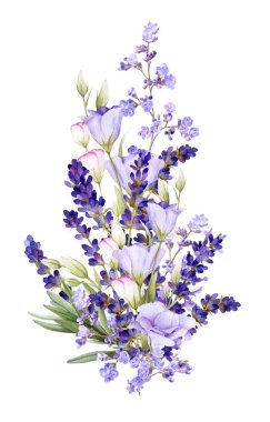 Beyaz bir arka plan üzerinde izole suluboya çizilmiş lavanta ve bluebells el pitoresk düzenleme