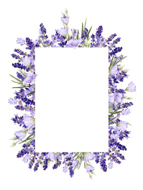 Lavanta pitoresk kare çerçeve, bluebells, otlar el beyaz bir arka plan üzerinde izole suluboya çizilmiş.