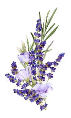 Beyaz bir arka plan üzerinde izole suluboya çizilmiş lavanta ve bluebells el pitoresk buket.