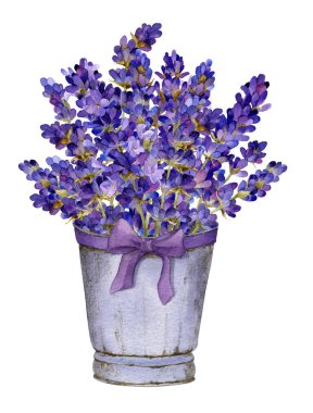 Beyaz bir arka plan üzerinde izole suluboya çizilmiş bir yay el ile sepette lavanta Zengin buket