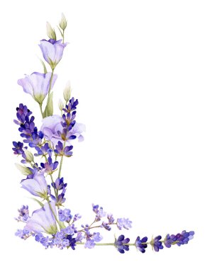 Beyaz bir arka plan üzerinde izole suluboya çizilmiş lavanta ve bluebells el pitoresk düzenleme. 